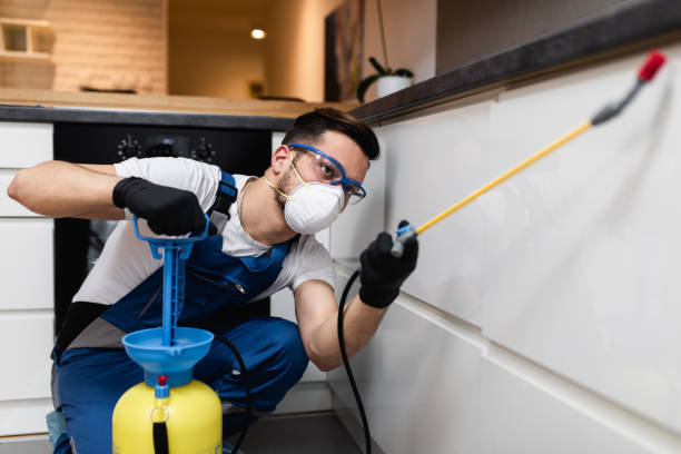 Best Flea Control Services  in Arlington, MN