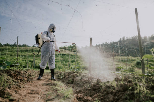 Best Best Pest Control Companies  in Arlington, MN