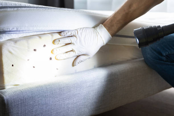 Pest Prevention Services in Arlington, MN